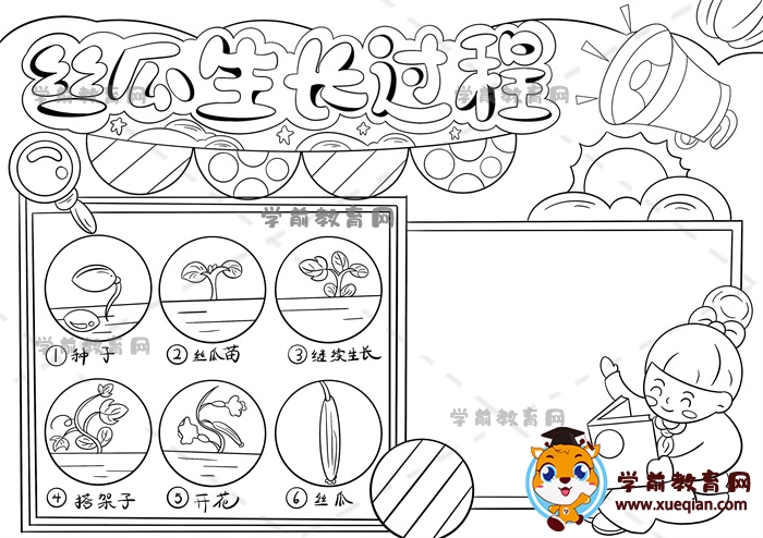 絲瓜生長記錄手抄報